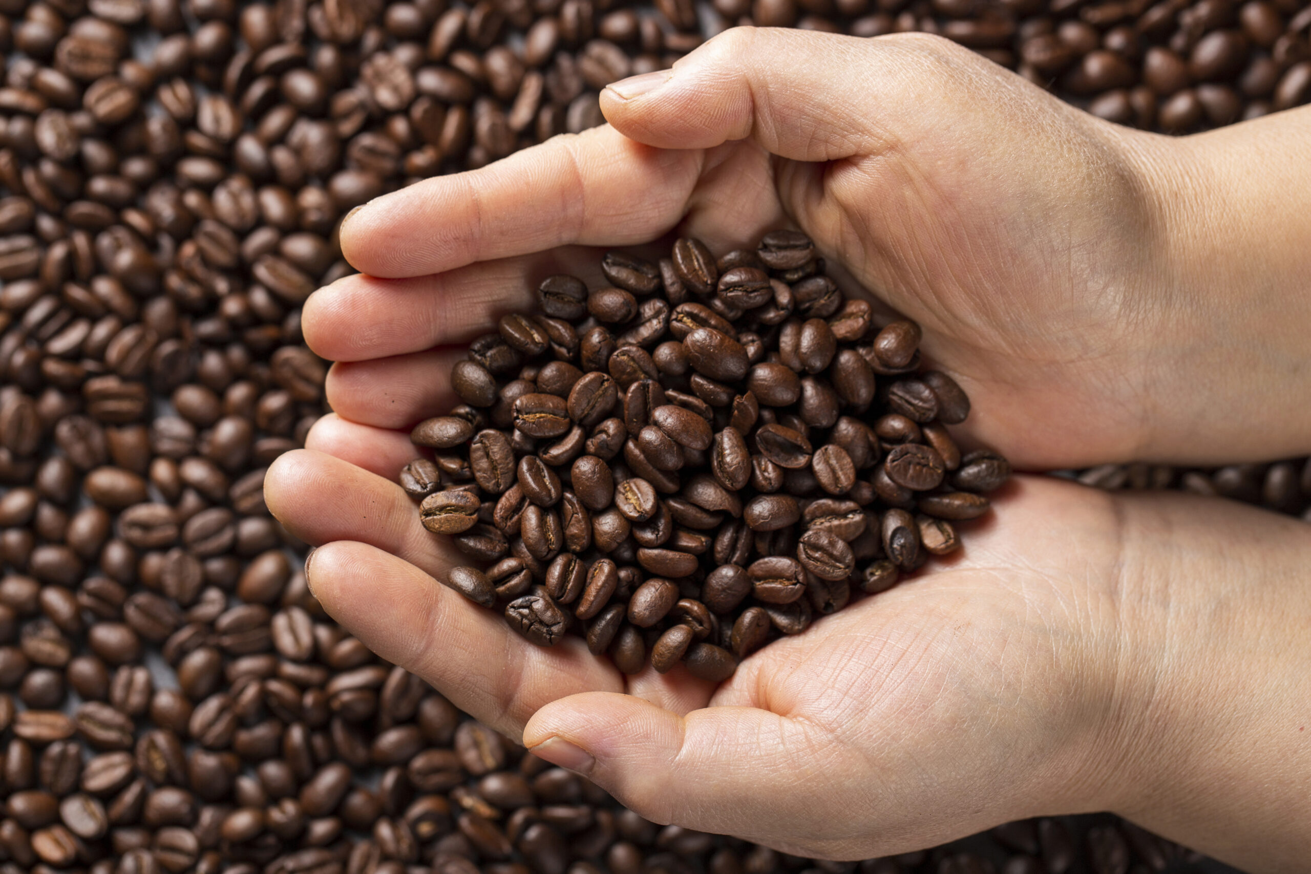 Asal Mula Kopi di Indonesia: Sejarah dan Perkembangannya